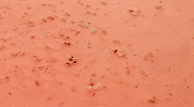 塑膠跑道施工起泡怎么辦？